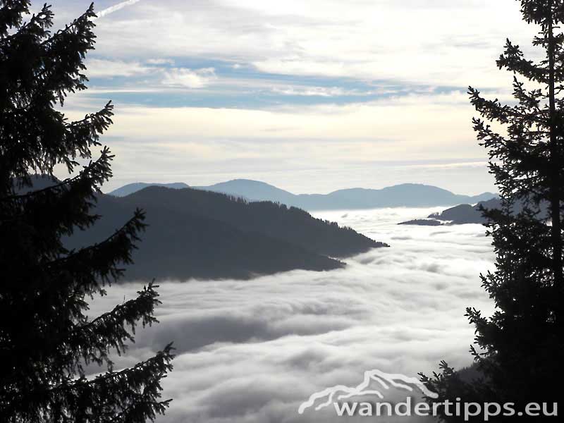 Trenchtling/Hochturm Abbildung 4