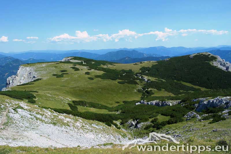 Trenchtling/Hochturm Abbildung 6