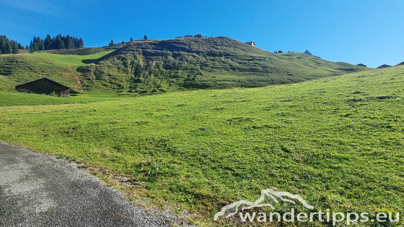 Saloberkopf Abbildung 5