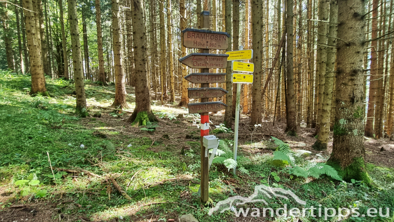 Bramhosen Abbildung 13