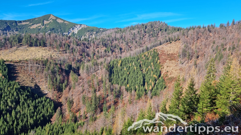 Kleiner Göller/Rosskopf Abbildung 7