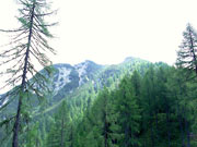 Großboden/Golz Abbildung 9