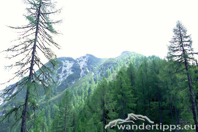 Großboden/Golz Abbildung 9