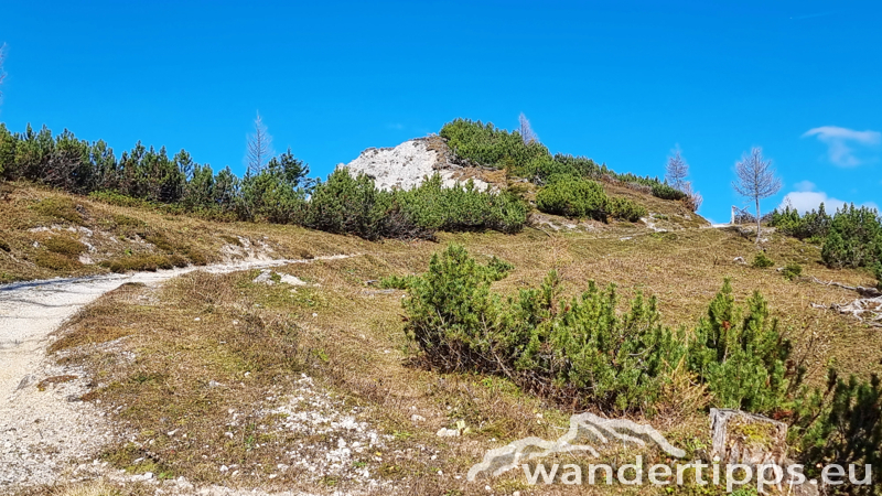 Pribitztörl Abbildung 14