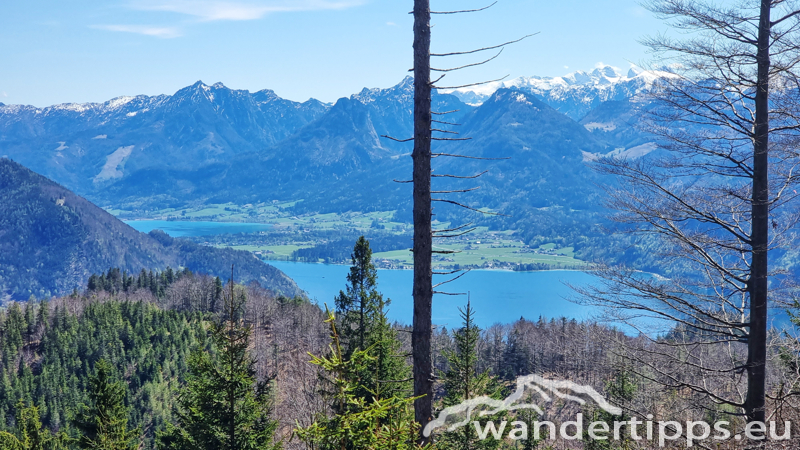 Marienköpfl/Mariannenkopf Abbildung 12