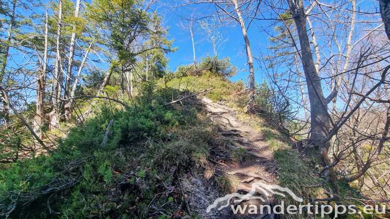 Marienköpfl/Mariannenkopf Abbildung 6