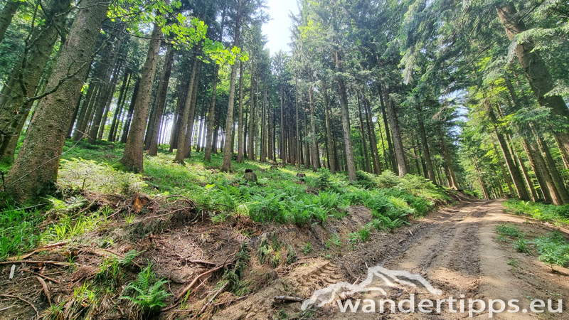 Kulmspitze Abbildung 9