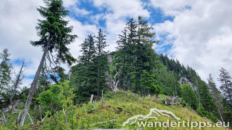 Struwin Abbildung 14