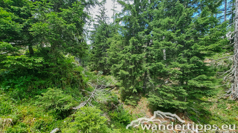 Struwin Abbildung 15