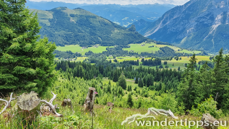 Struwin Abbildung 18