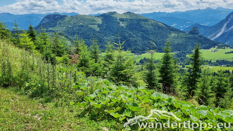 Struwin Abbildung 20