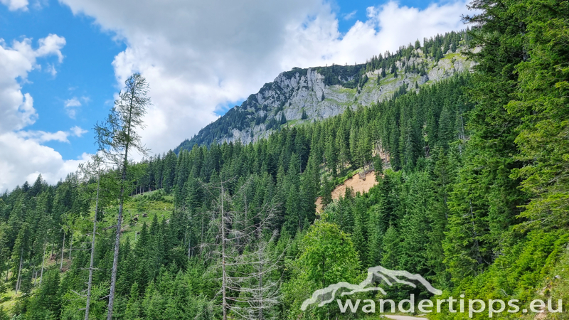 Struwin Abbildung 22