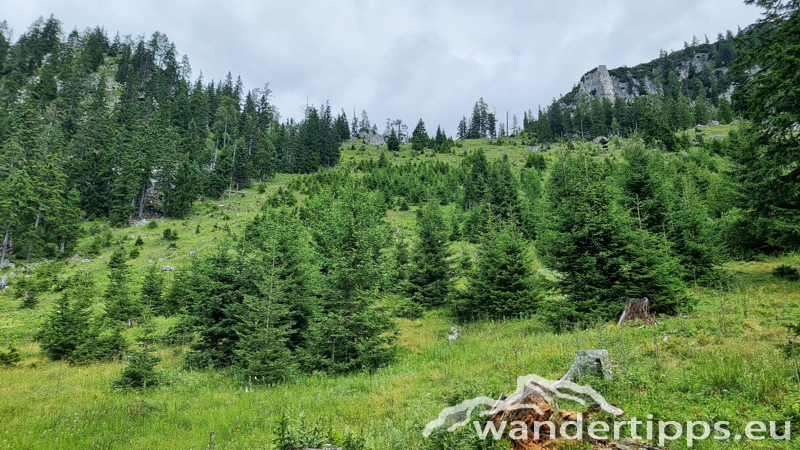 Struwin Abbildung 10