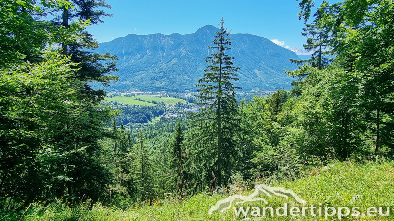 Tressenstein Abbildung 20