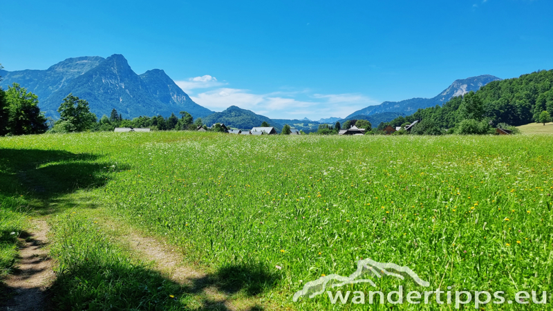 Tressenstein Abbildung 21