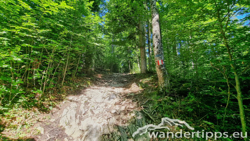 Tressenstein Abbildung 9