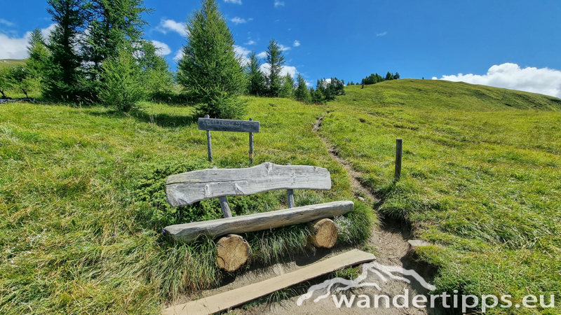 Edelweißwiese/Äußere Steiner Alm Abbildung 12