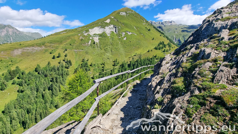 Edelweißwiese/Äußere Steiner Alm Abbildung 17