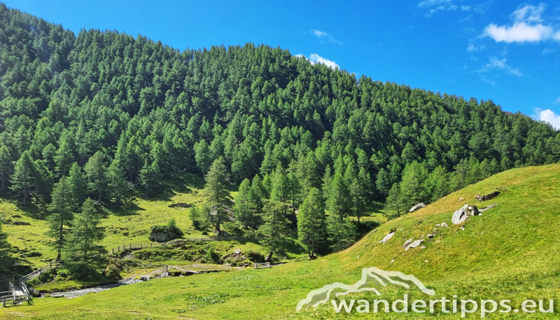 Edelweißwiese/Äußere Steiner Alm Abbildung 21