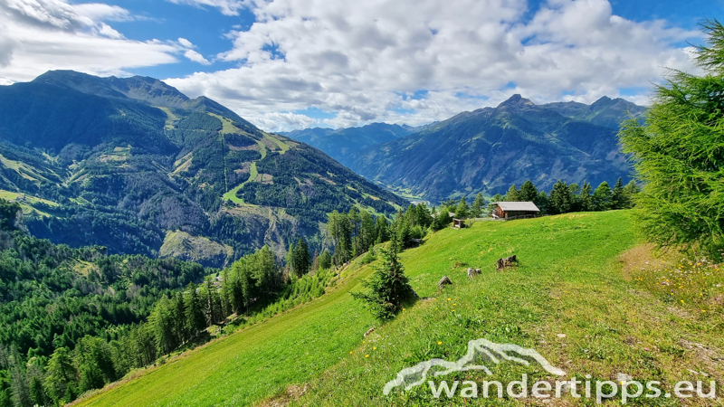 Edelweißwiese/Äußere Steiner Alm Abbildung 24