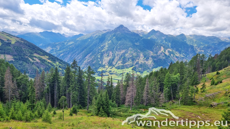 Edelweißwiese/Äußere Steiner Alm Abbildung 25