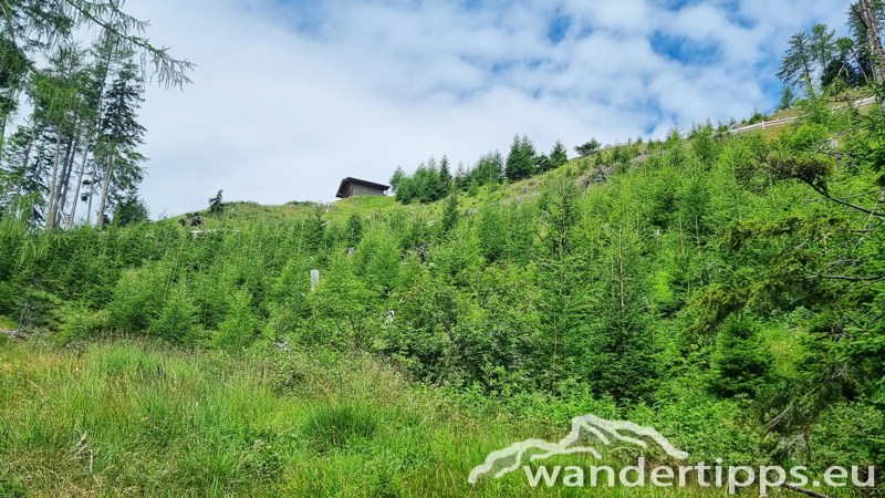 Edelweißwiese/Äußere Steiner Alm Abbildung 4