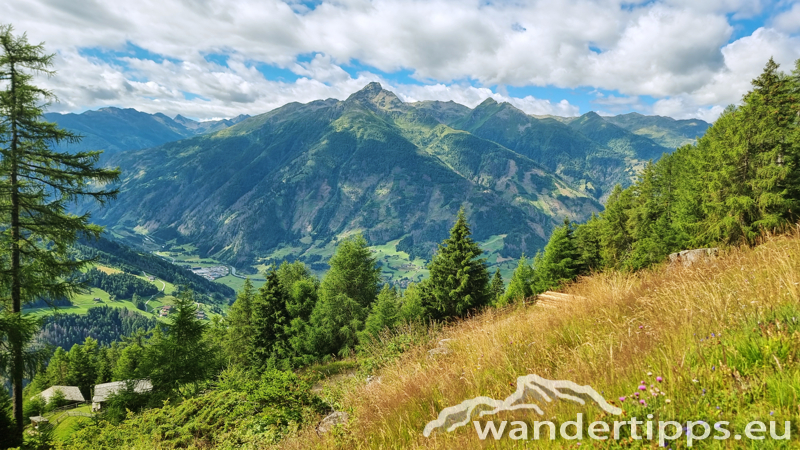 Edelweißwiese/Äußere Steiner Alm Abbildung 6