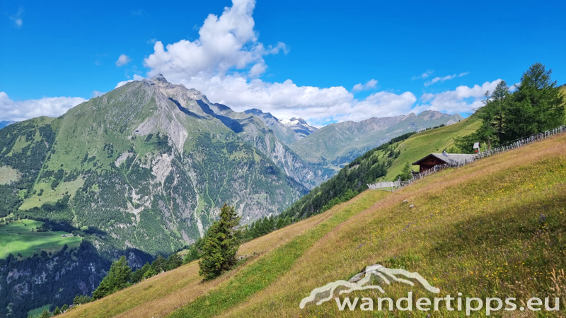 Edelweißwiese/Äußere Steiner Alm Abbildung 7
