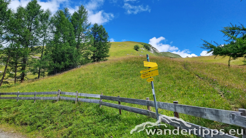 Edelweißwiese/Äußere Steiner Alm Abbildung 8