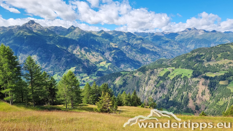 Edelweißwiese/Äußere Steiner Alm Abbildung 10