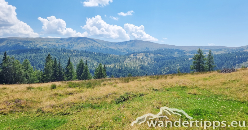 Teuerlnock Abbildung 10