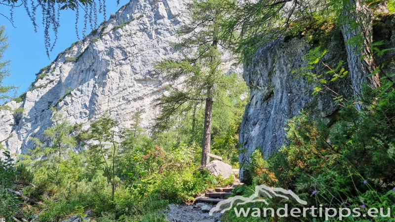 Blaueishütte Abbildung 15