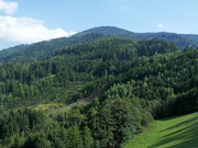 Rennfeld von Nordosten Abbildung 3