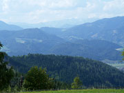 Rennfeld von Nordosten Abbildung 4