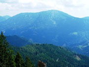 Rennfeld von Nordosten Abbildung 8