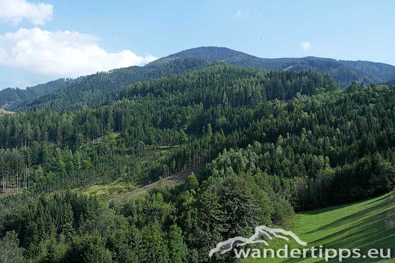 Rennfeld von Nordosten Abbildung 3