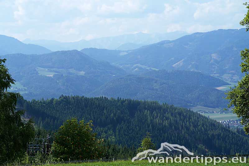 Rennfeld von Nordosten Abbildung 4