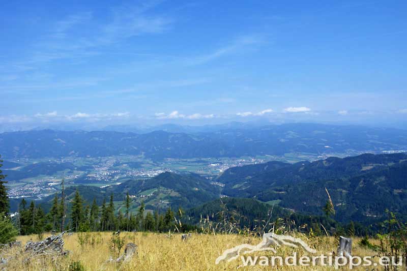 Rennfeld von Nordosten Abbildung 5