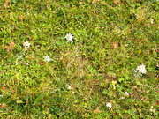 Rax/Jakobskogel Abbildung 9