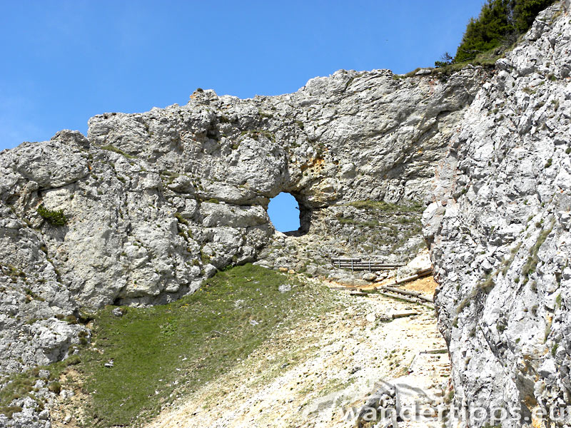 Rax/Jakobskogel Abbildung 3