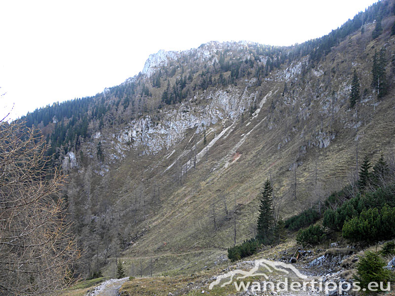 Hofalm/Schnalzstein Abbildung 9