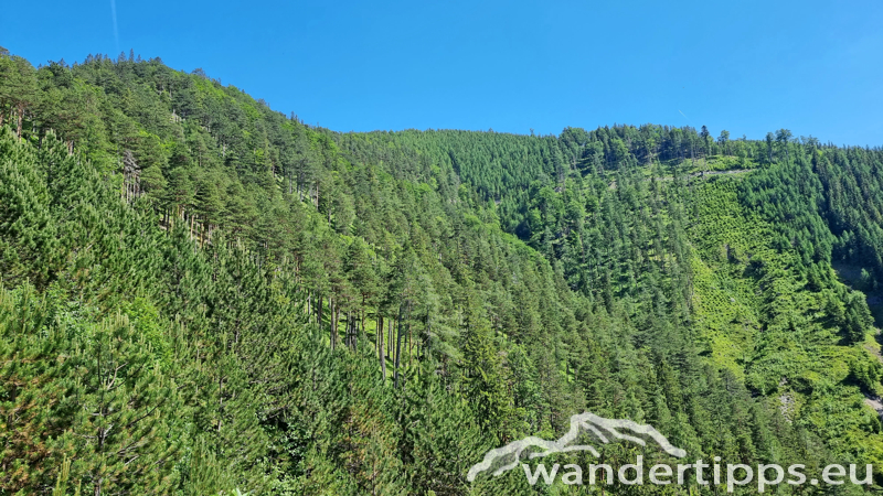 Unterberg von Norden Abbildung 4