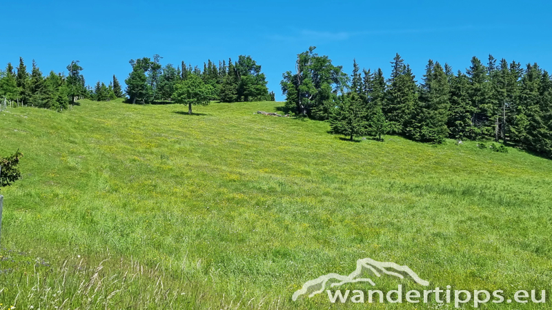 Unterberg von Norden Abbildung 9