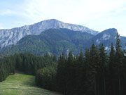 Schauerwand/Schneealpe Abbildung 12