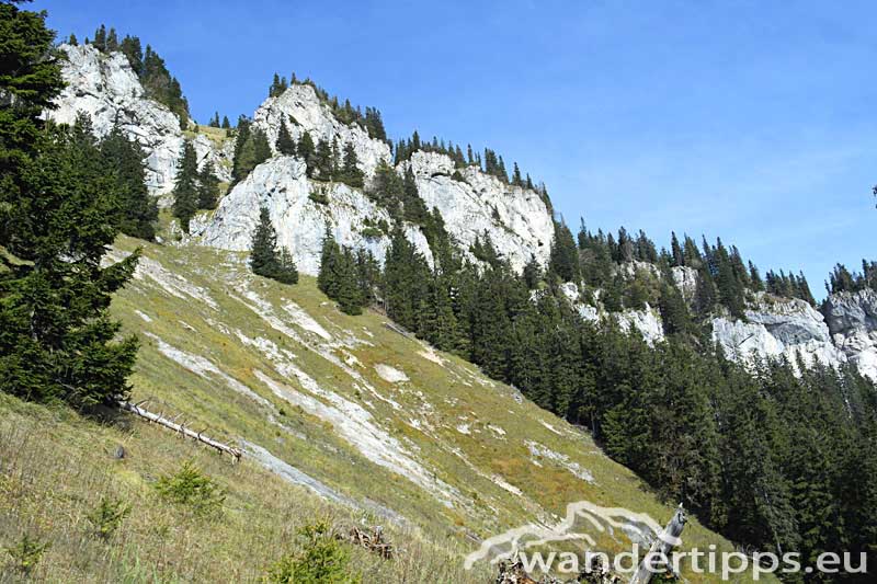 Schauerwand/Schneealpe Abbildung 4