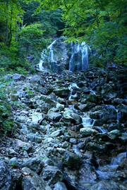 Schoberstein  Abbildung 10