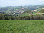 Hutwisch Abbildung 11