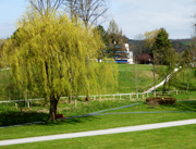 Hutwisch Abbildung 3