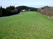 Hutwisch Abbildung 4