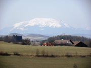 Hutwisch Abbildung 9